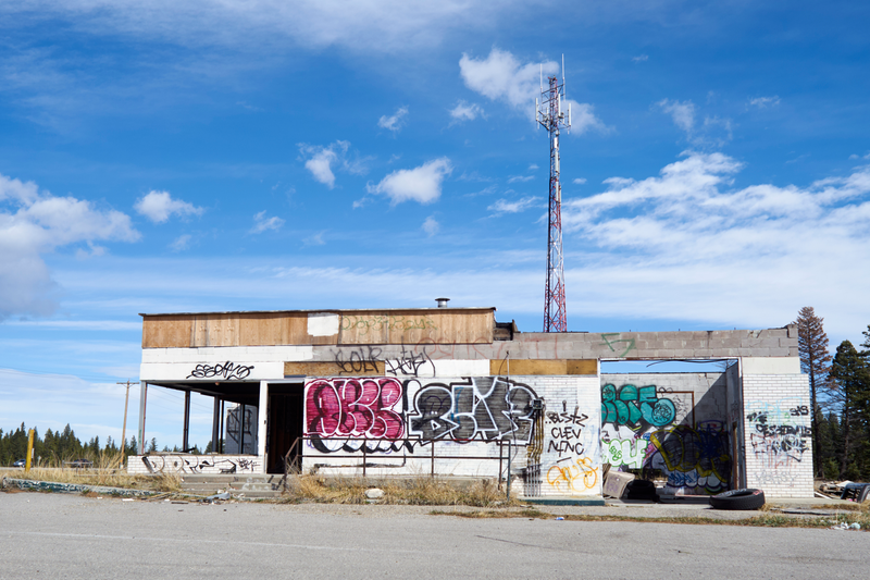 Illustration for article titled Photodump. Mountains and Graffiti, oh my!